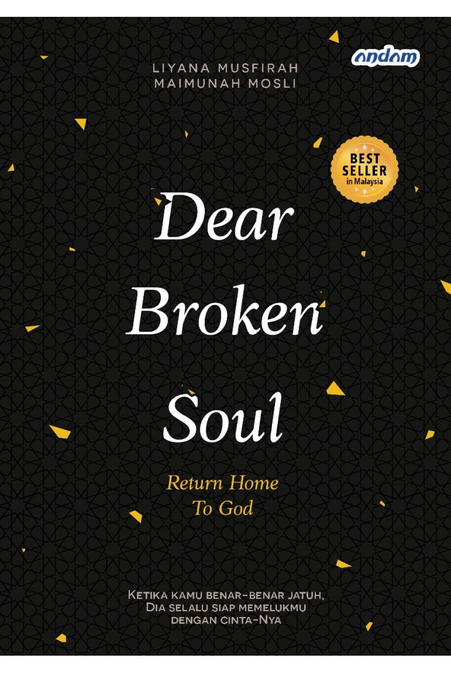 Dear Broken Soul